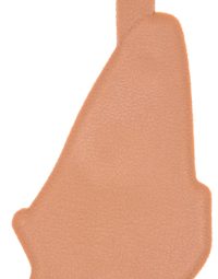 lay pooch camel1