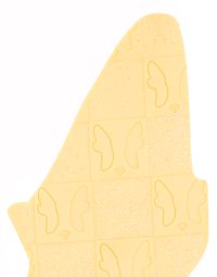 pooch amarelas portrait1