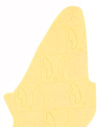 pooch amarelas portrait12