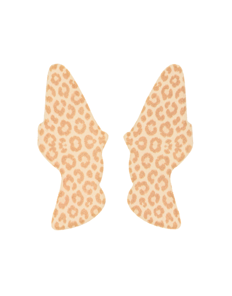 Home - My Cute Pooch